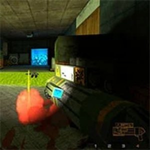 Colorful Target Adventure