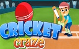 Cricket Craze: Arcade Cricket Game Online