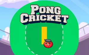 Pong Cricket: Arcade Sports Online Game