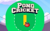 Pong Cricket: Arcade Sports Online Game