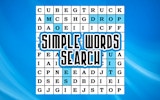 Simple Words Search Puzzle Game Online