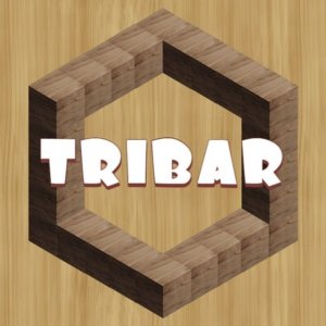 Tribar Puzzle Brain Teaser
