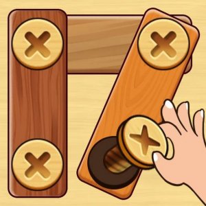 Wood Puzzle: Nuts & Bolts